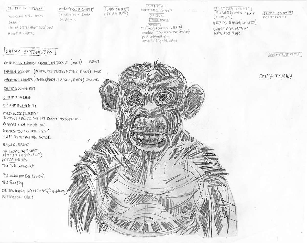 Chimp Project – 2010